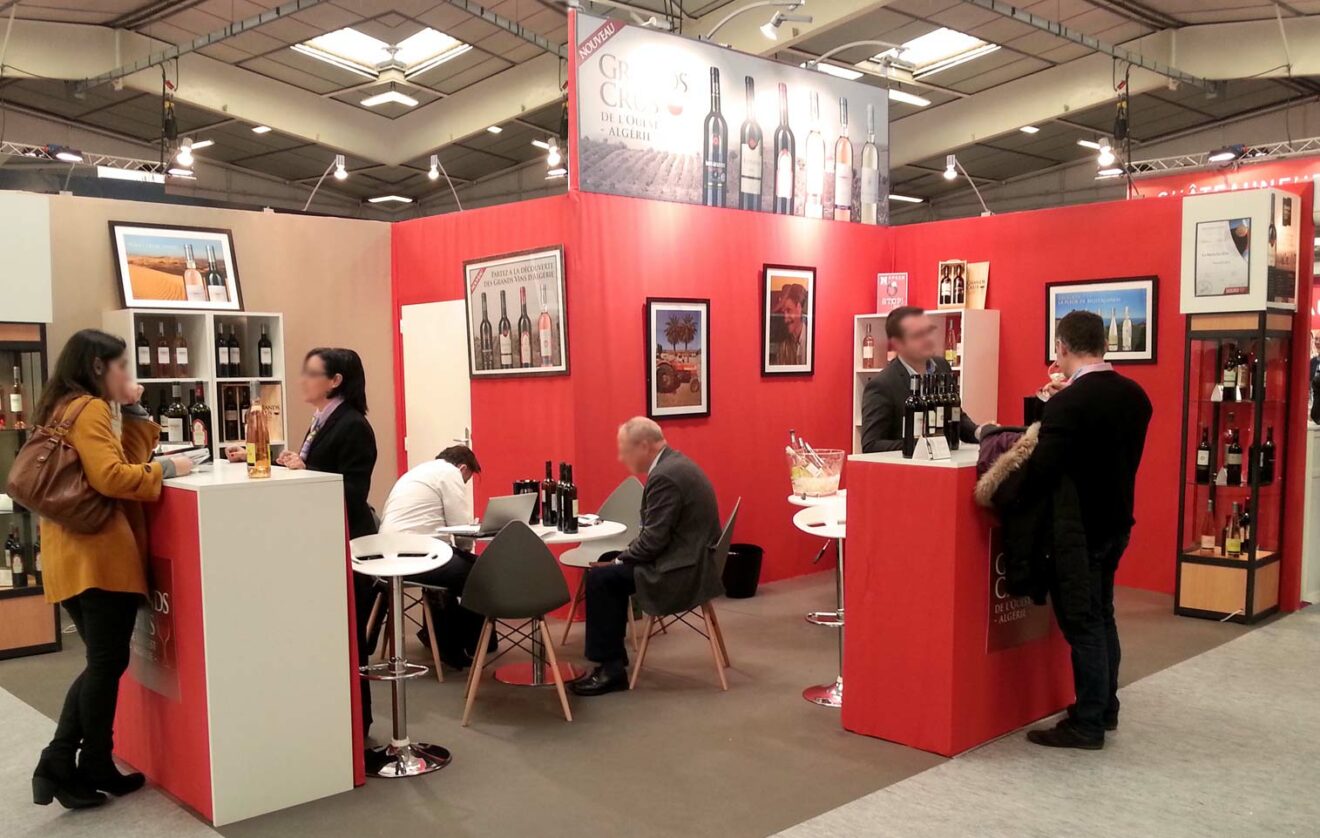portfolio-des-r-alisations-de-nos-experts-w-les-ailes-digitales